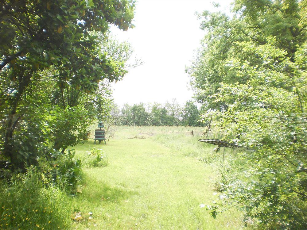Green Fields Padova Luaran gambar