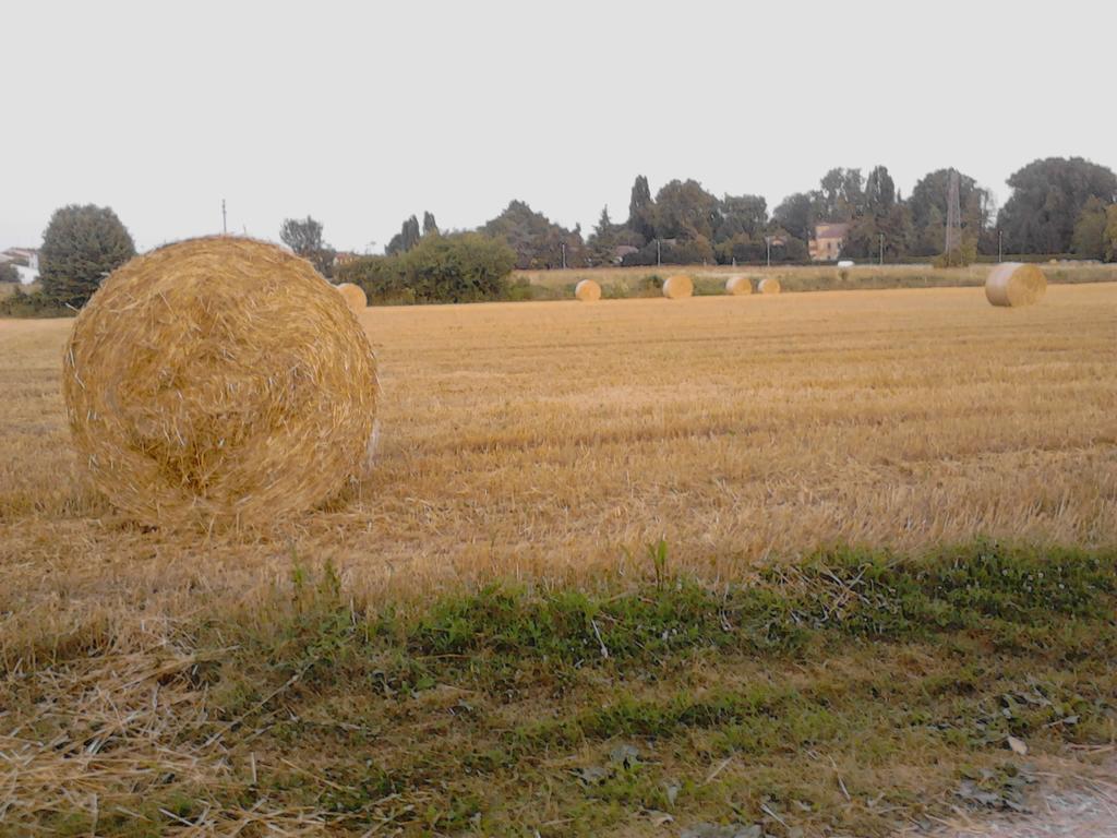 Green Fields Padova Luaran gambar