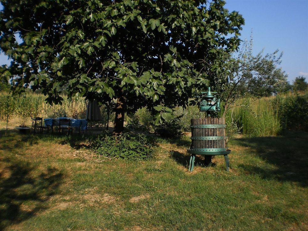 Green Fields Padova Luaran gambar